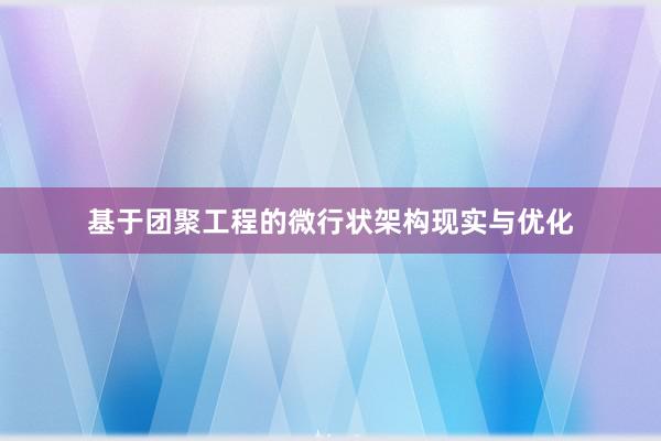 基于团聚工程的微行状架构现实与优化
